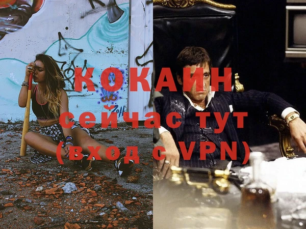 индика Липки