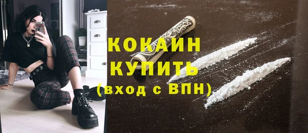 индика Липки