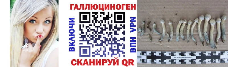 купить закладку  Нарьян-Мар  Галлюциногенные грибы GOLDEN TEACHER 
